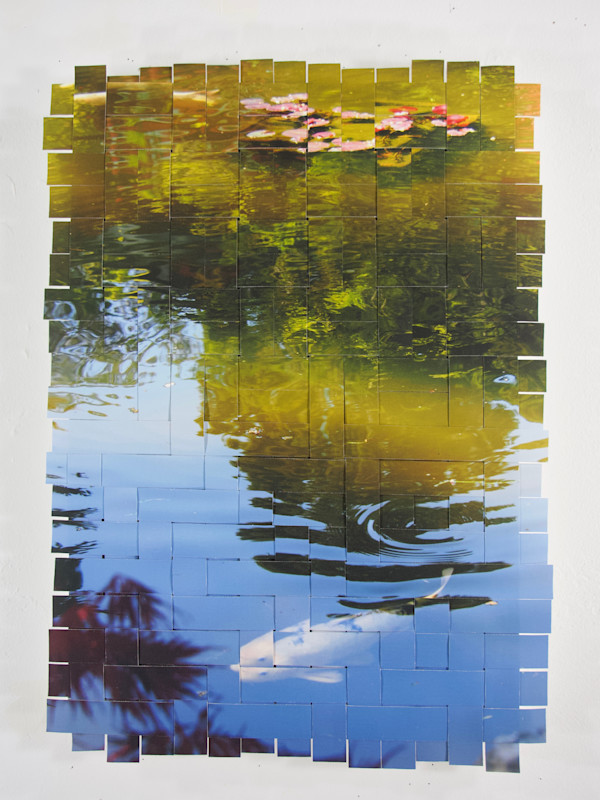 Golden Gate Park Koi #14 by Margaret Moench
