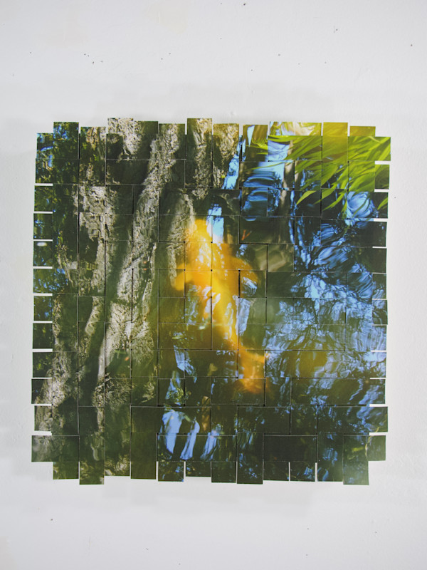 Golden Gate Park Koi #13 by Margaret Moench