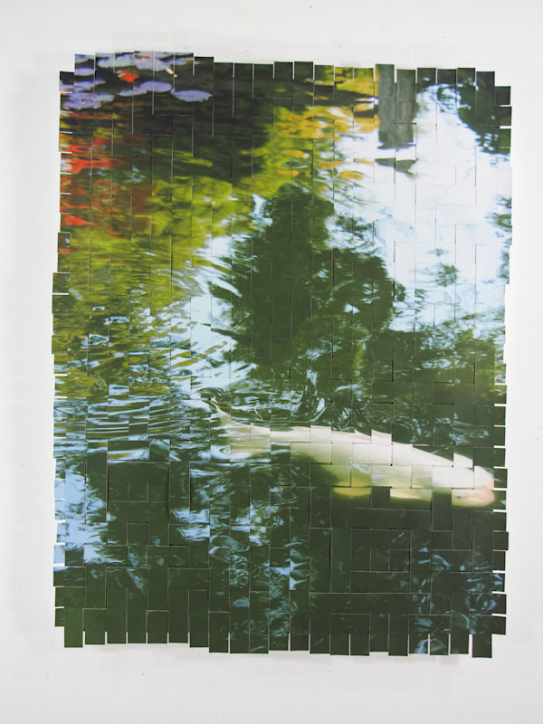 Golden Gate Park Koi #16 by Margaret Moench
