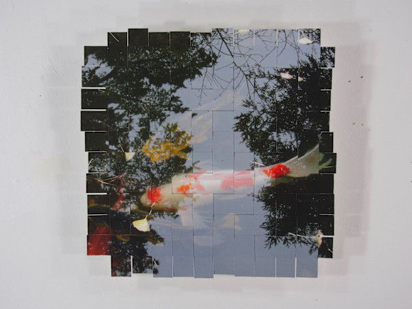 Golden Gate Park Koi #20 by Margaret Moench