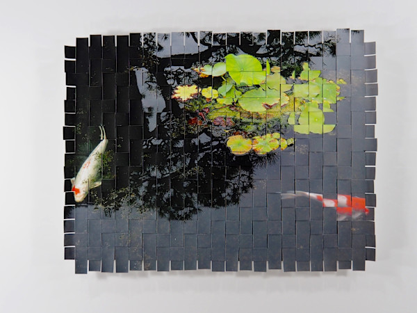 Koi Tokyo #6 by Margaret Moench