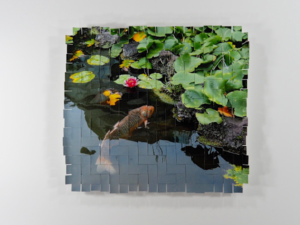 Koi Tokyo #7 by Margaret Moench