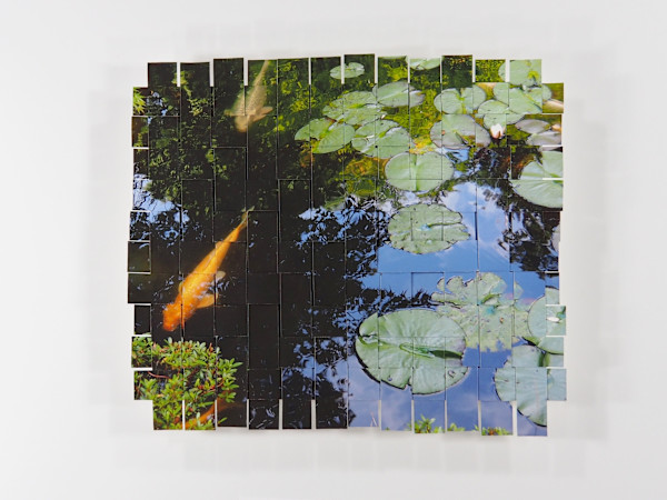 Koi Tokyo #8 by Margaret Moench