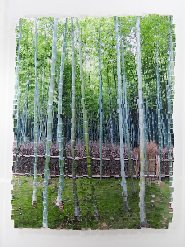 Bamboo Kyoto #3 by Margaret Moench