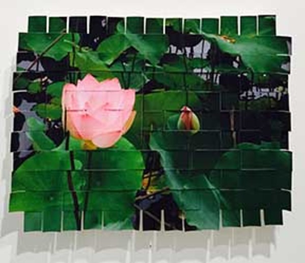 Water Lily Kyoto #2 by Margaret Moench