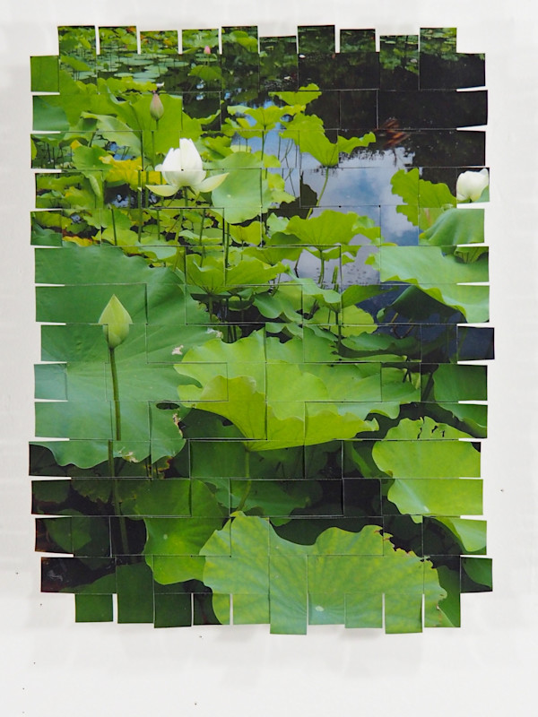 Water Lily Kyoto #4 by Margaret Moench