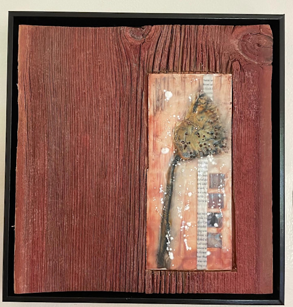 Fossils by Karen Faller