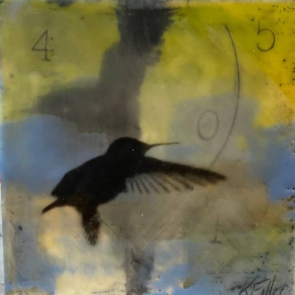 4 out of 5 Hummingbirds approve by Karen Faller