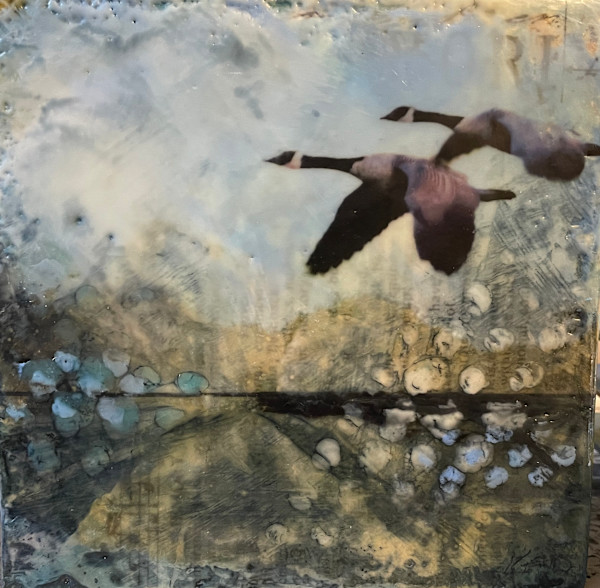 Air Canada by Karen Faller