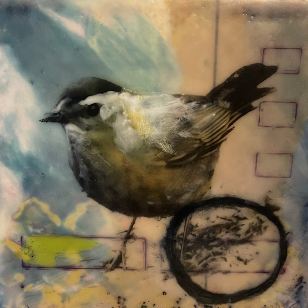 Belize Catbird by Karen Faller