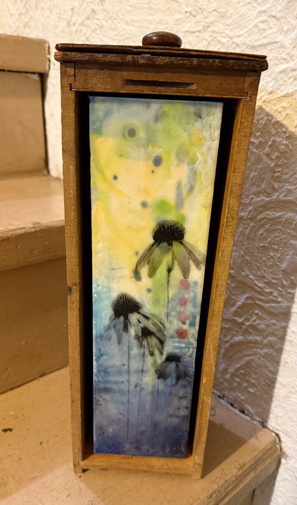 Boxed Echinacea by Karen Faller