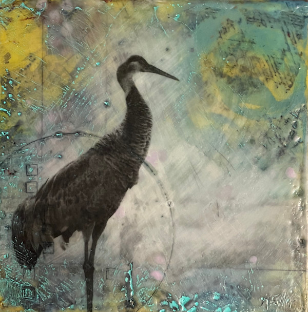 Checking out the competition by Karen Faller