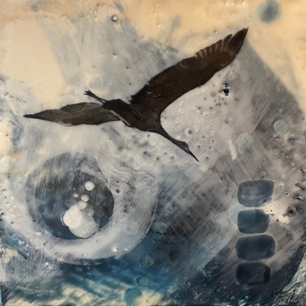 Sandhill glide by Karen Faller