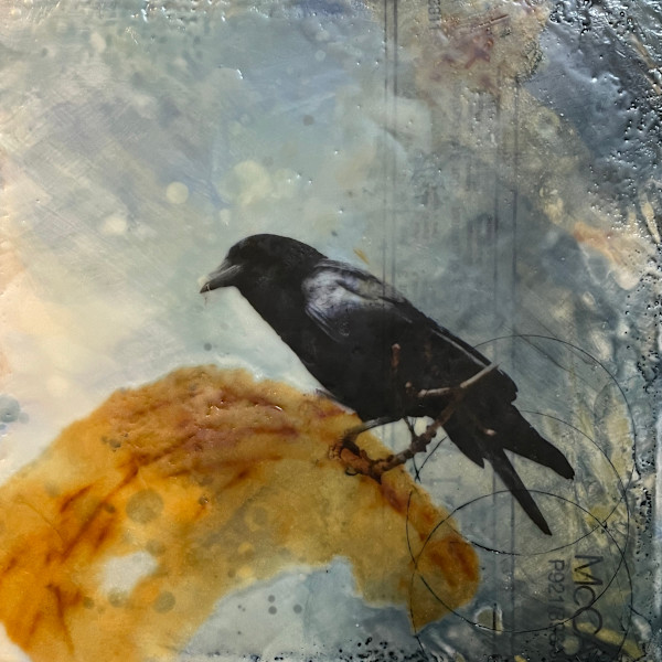 McCaw by Karen Faller