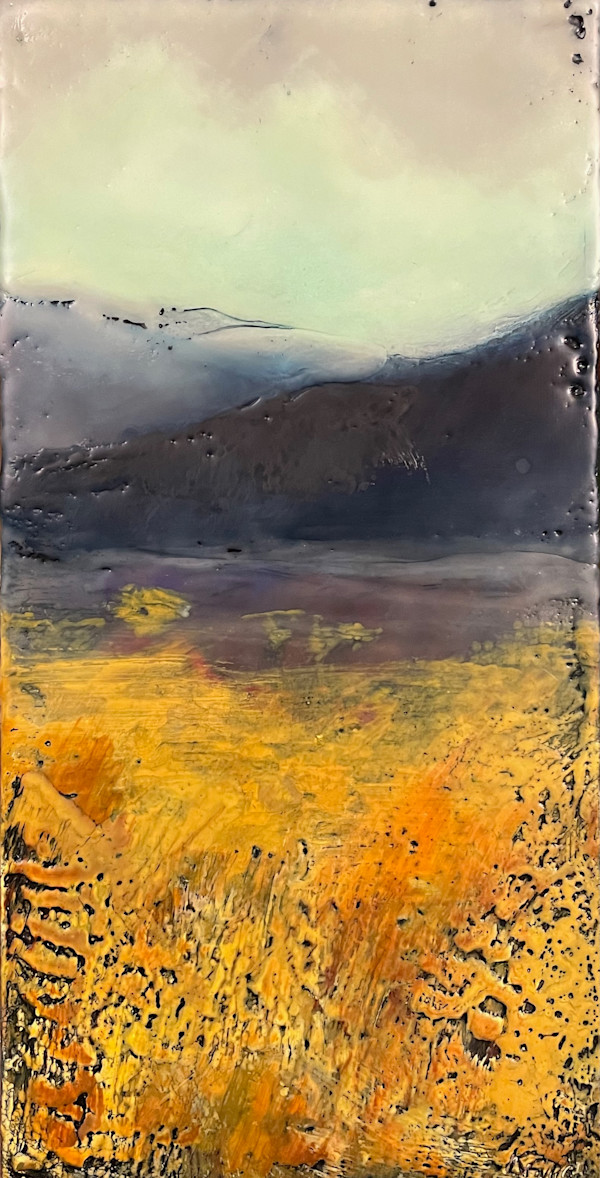 Far afield by Karen Faller