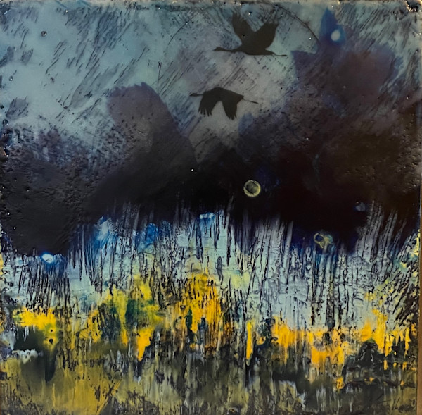Night-time flyby by Karen Faller