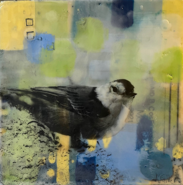 Nuttier than you by Karen Faller