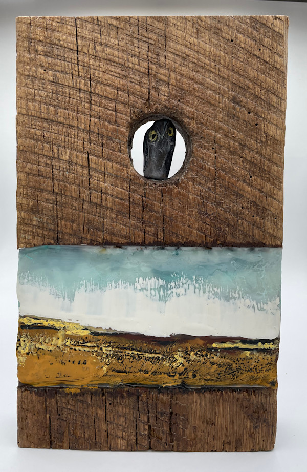 Barnwood Owl by Karen Faller