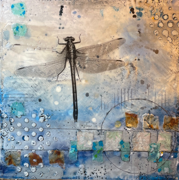 Pond Experiments by Karen Faller