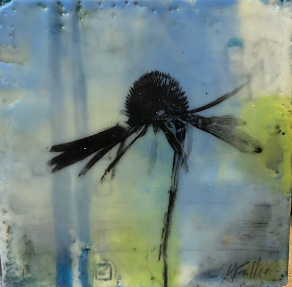 Striped coneflower by Karen Faller