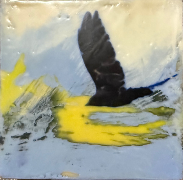 Untitled crow by Karen Faller