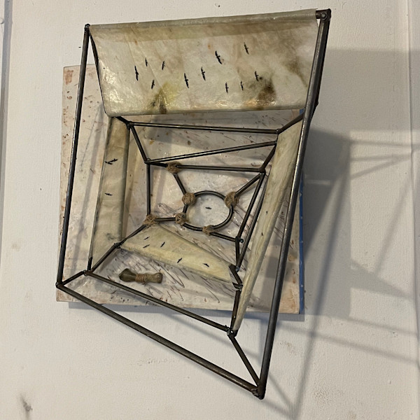 Webs and Bones by Karen Faller