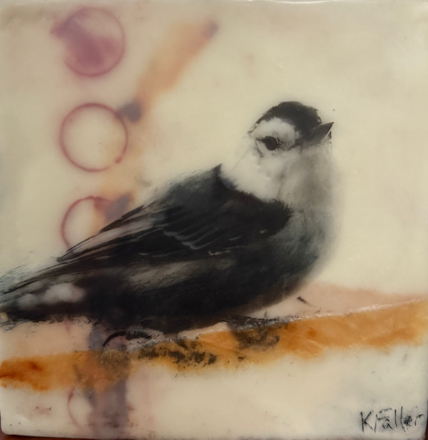 Nuthatch by Karen Faller