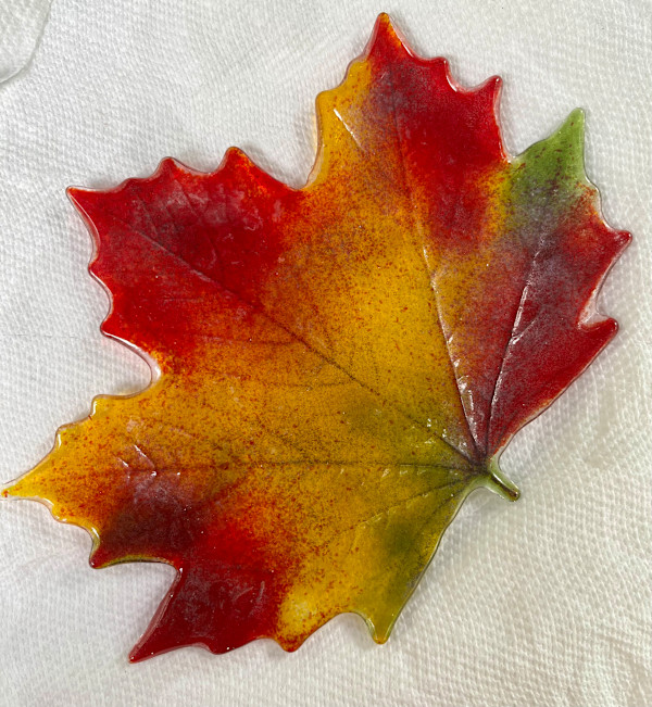 Autumn Ablaze by Julie Root Sawyer, Image 1.