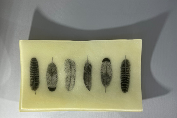 Feathers by Julie Root Sawyer