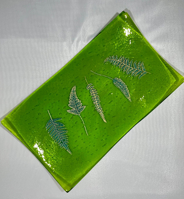 Fern Dish by Julie Root Sawyer
