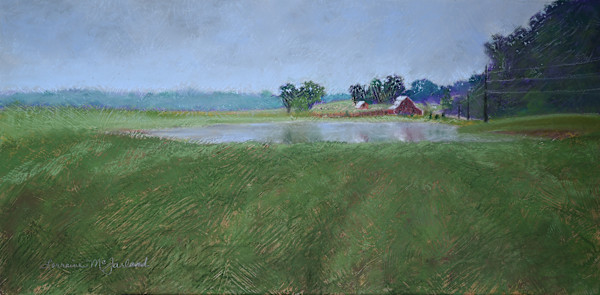 Cook Station Red Barn by Lorraine McFarland