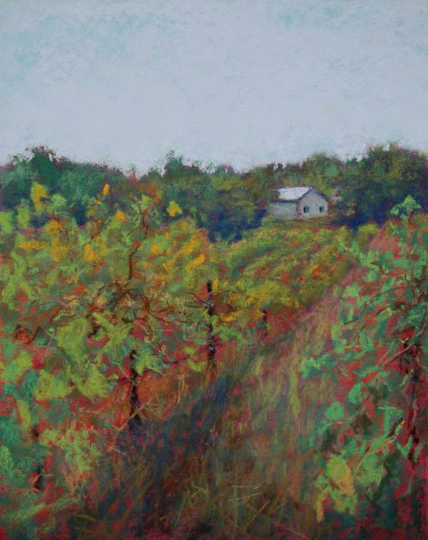 In the Vines by Lorraine McFarland