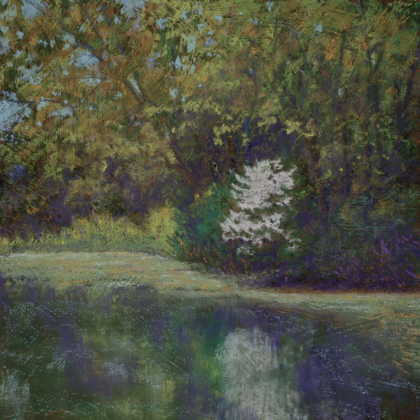 Reflection on Spring by Lorraine McFarland