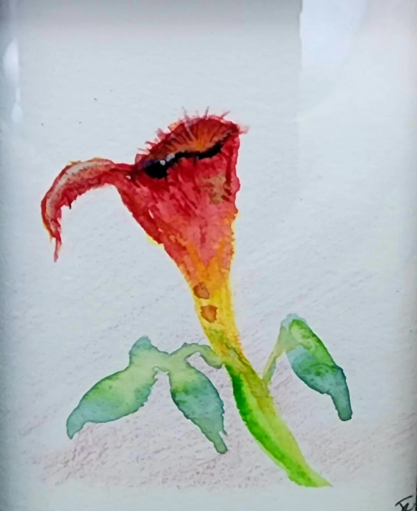 flower by Jon Cooper