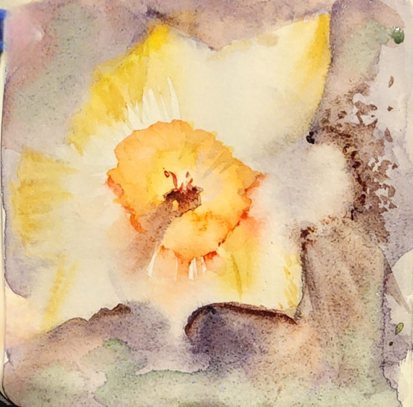 flower by Jon Cooper
