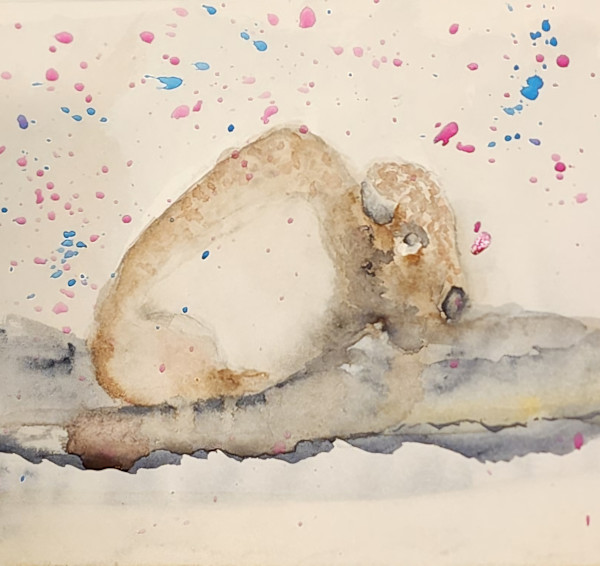 Winter buffalo by Jon Cooper