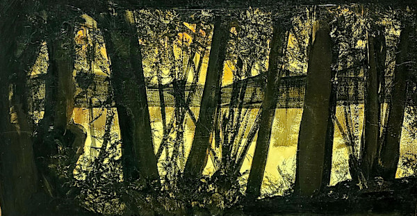 Morning at Raccoon Holler by Jon Cooper