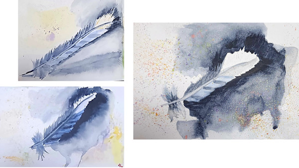 leaf studies by Jon Cooper