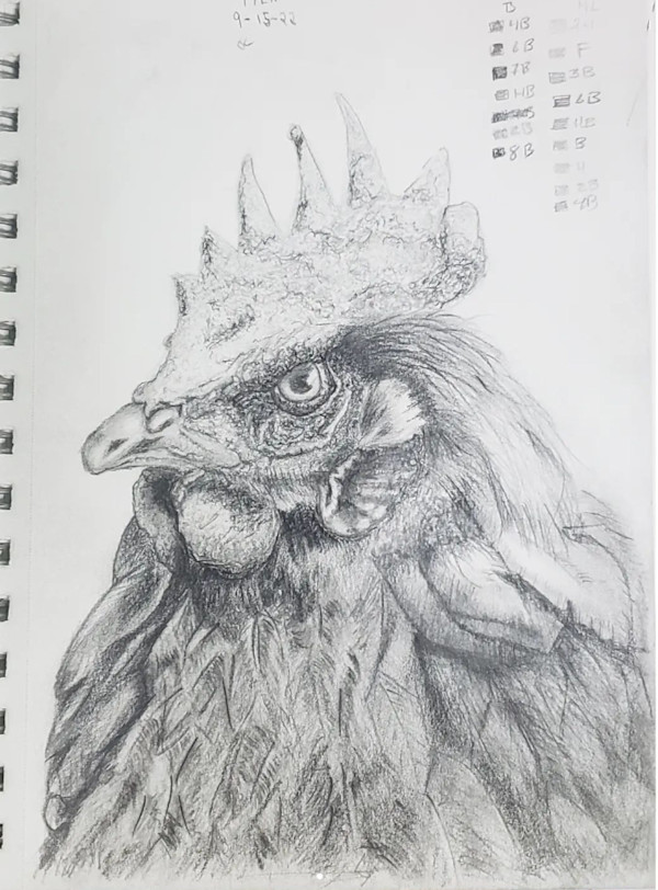 Hen by Jon Cooper