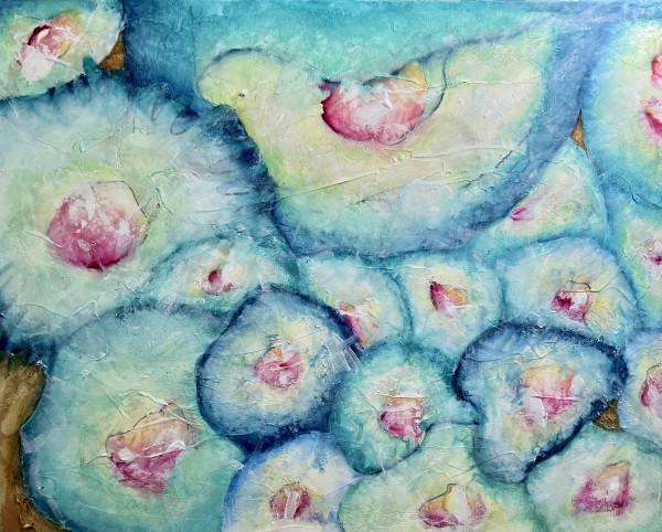 Coral Bed by Liz Morton