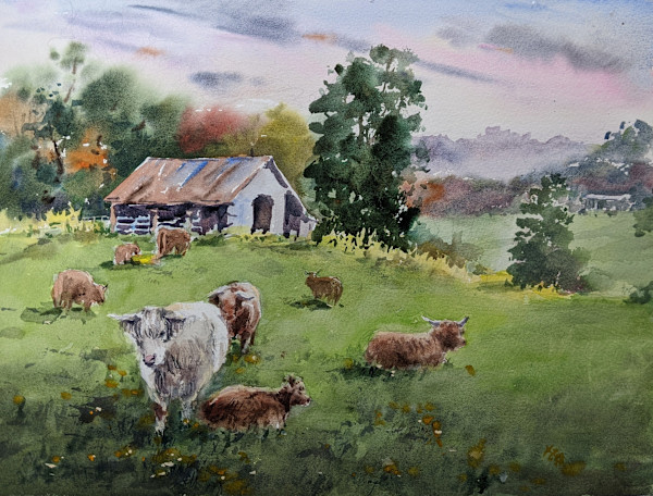 Highland Cows by Vicky Zhou