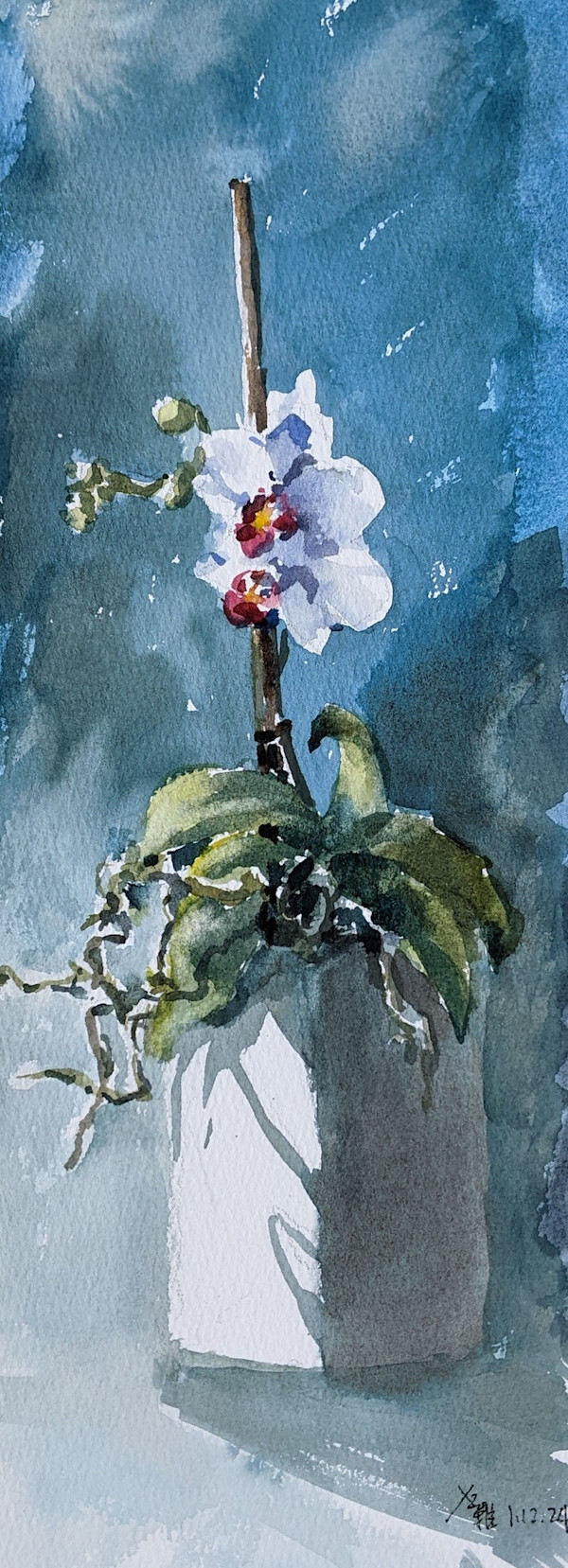 Orchid by Vicky Zhou