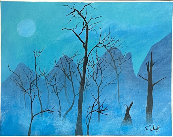 Foggy Bottom by Selvyn Tillett