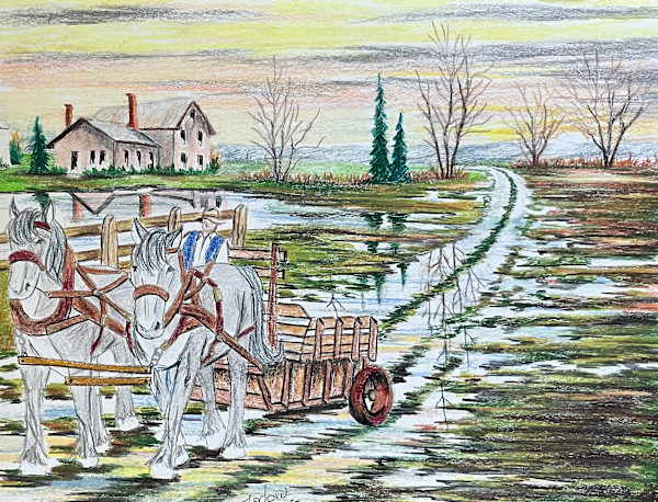 November by Gary Farlow