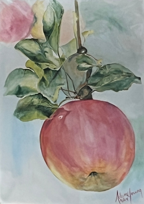 Apple by Adam Young