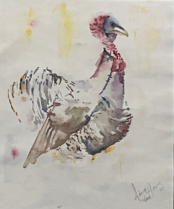 Turkey by Adam Young
