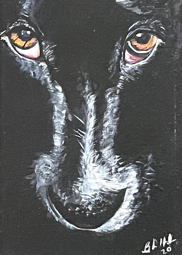 Wolf by Brian Hindson
