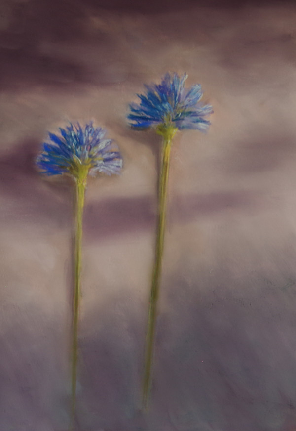 Blue Flowers by Shelley Loring