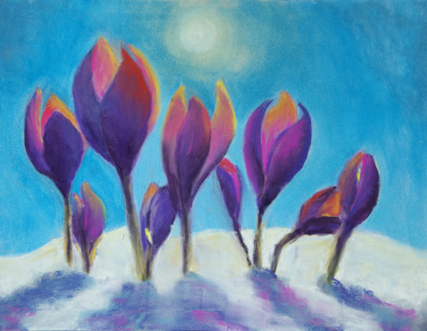 Hope Springs by Shelley Loring
