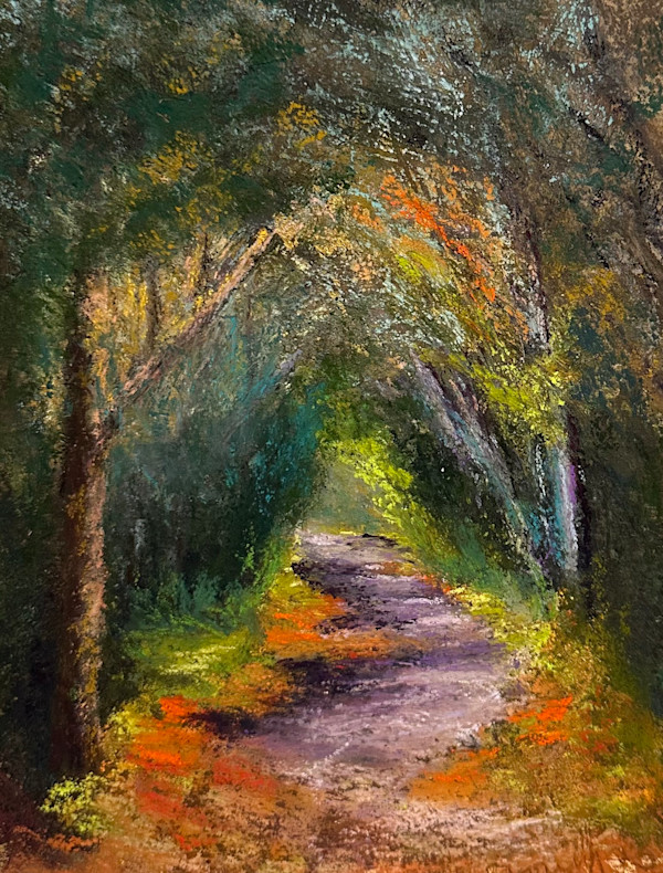 Where the light finds you by Shelley Loring, Image 1.